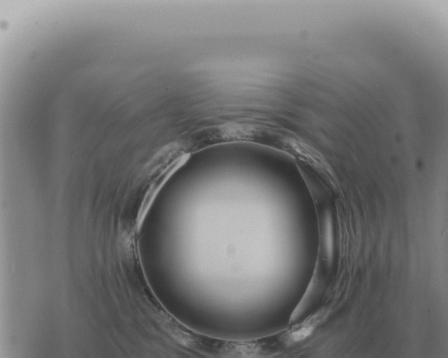 X0000073720329200608101910