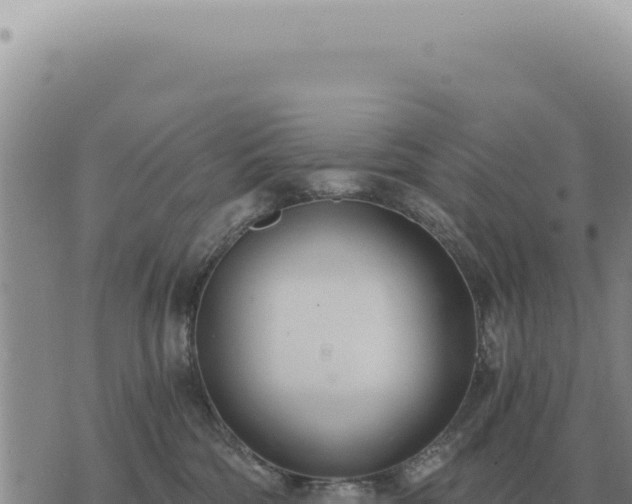 X0000073720330200608101910