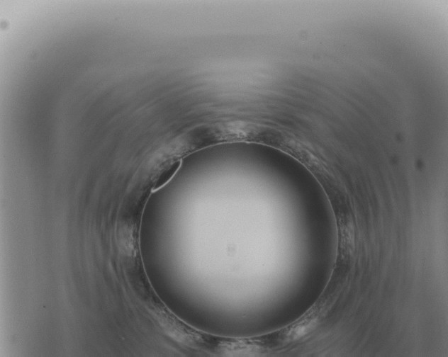 X0000073720331200608101910