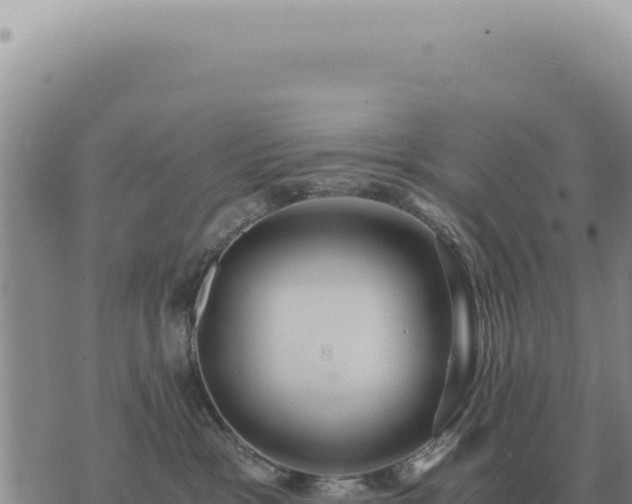 X0000073720333200608101910