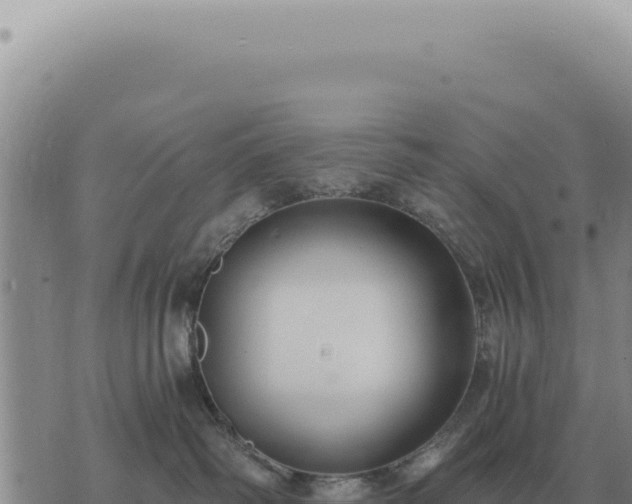 X0000073720334200608101910