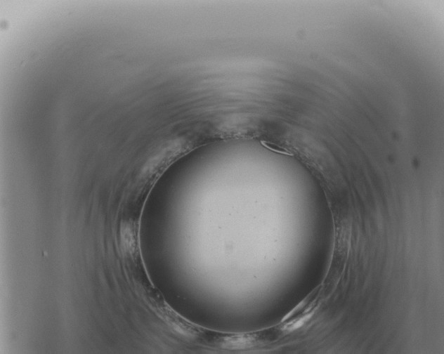 X0000073720335200608101910