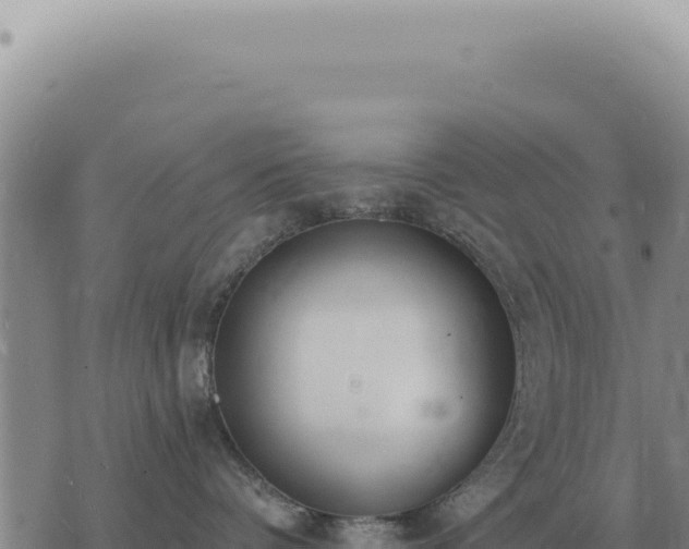 X0000073720336200608101910