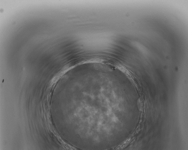 X0000073720337200608101909