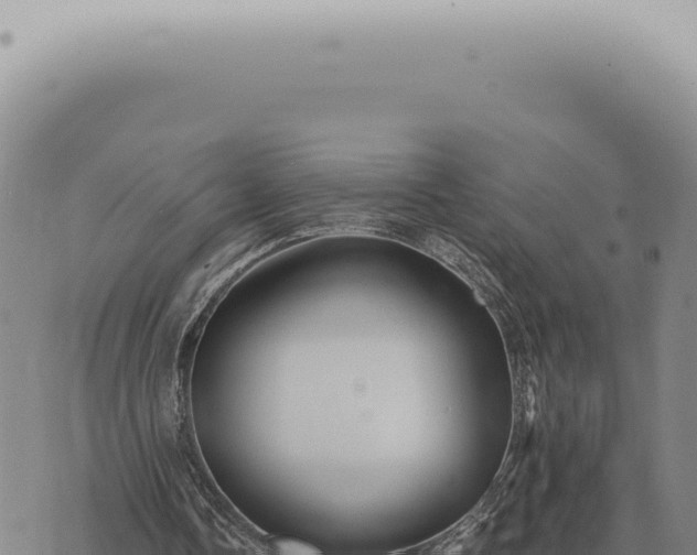 X0000073720338200608101909