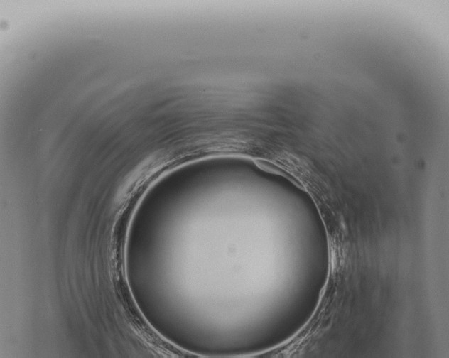 X0000073720339200608101909