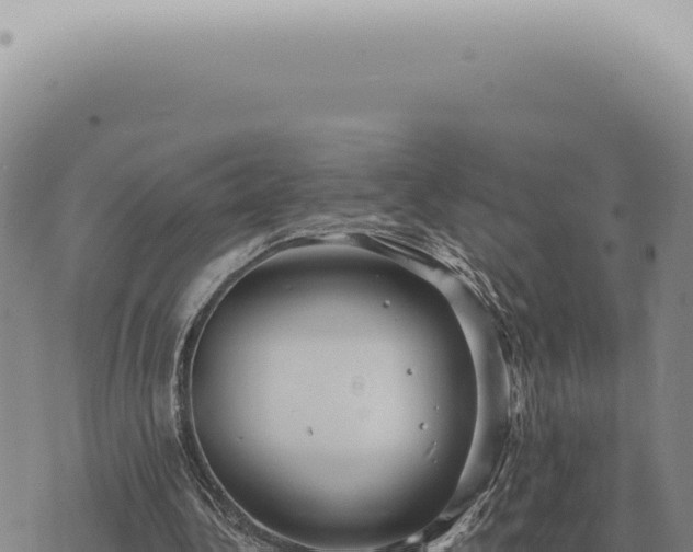 X0000073720340200608101909