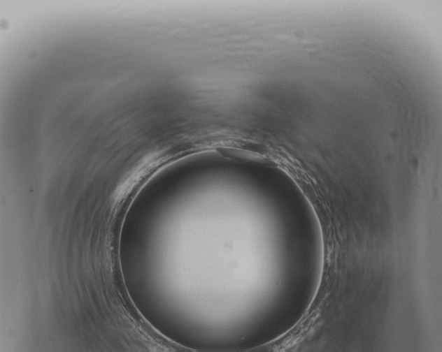 X0000073720341200608101909