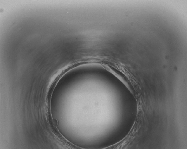 X0000073720342200608101909