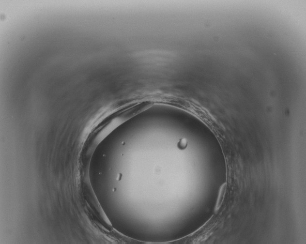 X0000073720344200608101909