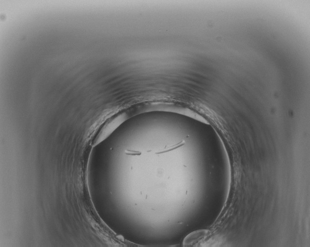 X0000073720345200608101909