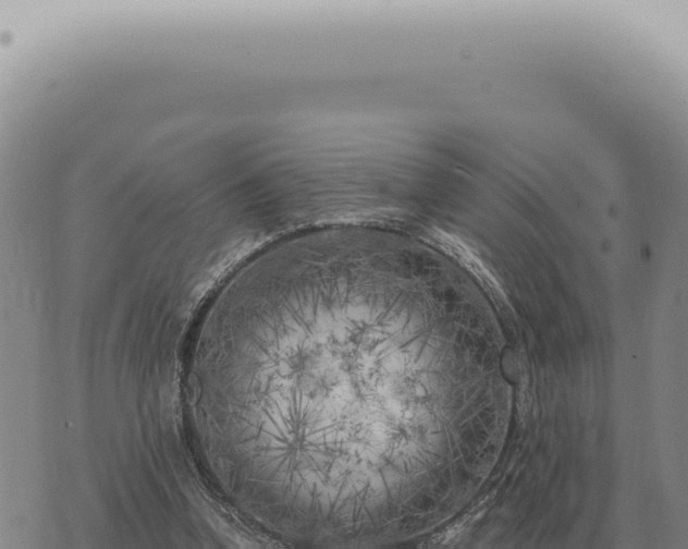 X0000073720346200608101909