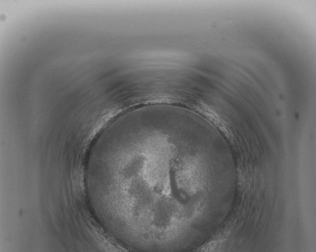 X0000073720347200608101909