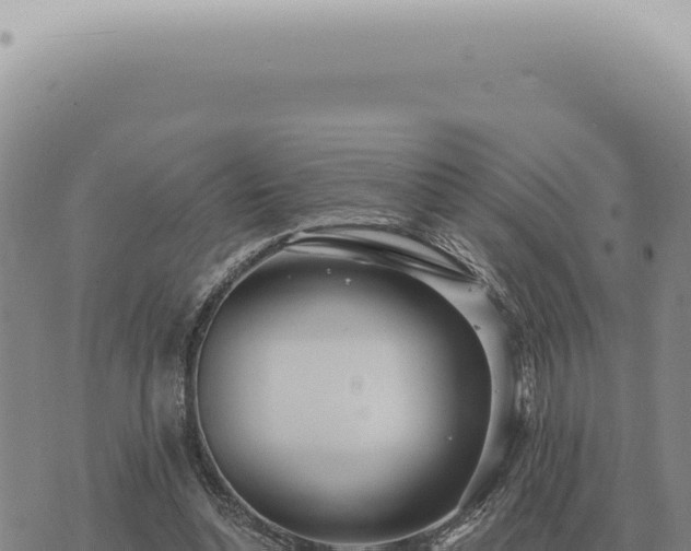 X0000073720348200608101909