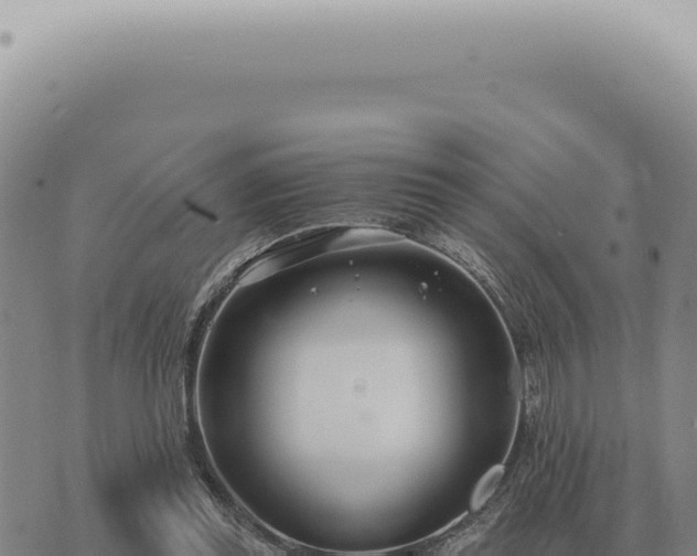 X0000073720349200608101909