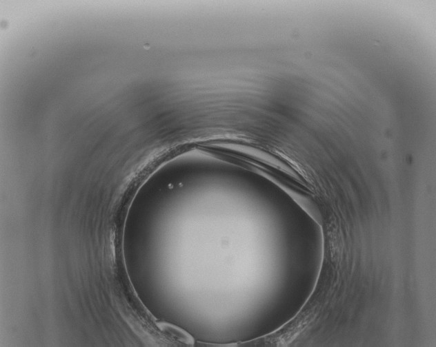 X0000073720350200608101910