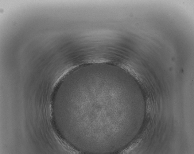 X0000073720351200608101910