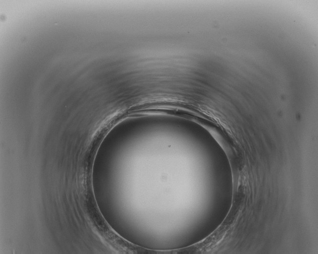 X0000073720352200608101910