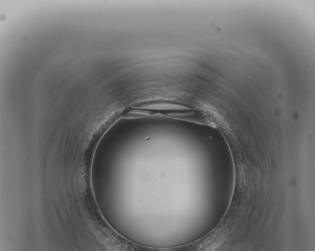 X0000073720354200608101910