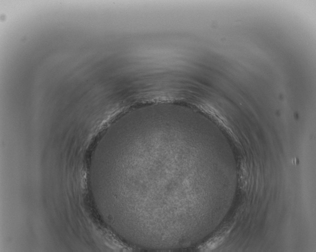 X0000073720355200608101910