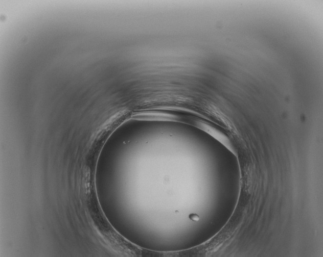 X0000073720356200608101910