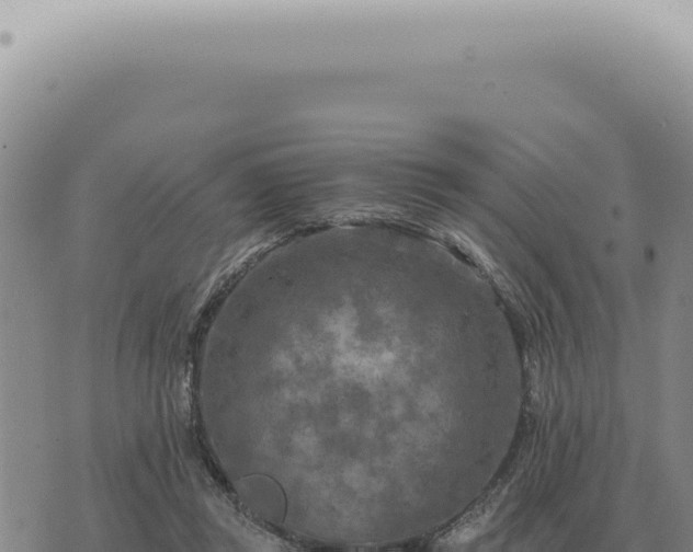 X0000073720357200608101910