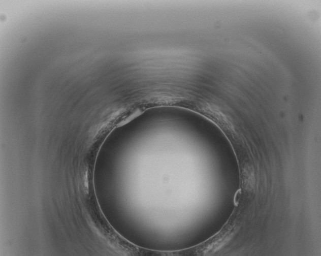 X0000073720358200608101910