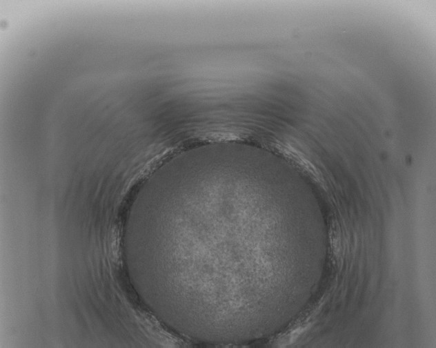 X0000073720359200608101910