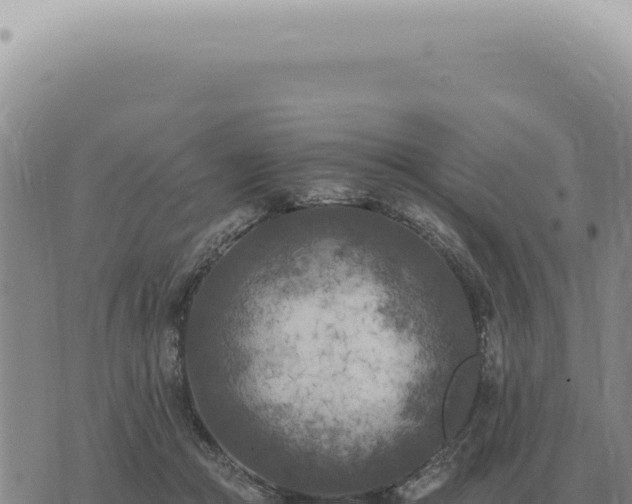 X0000073720361200608101910