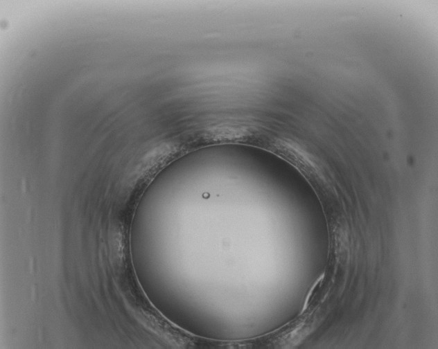 X0000073720362200608101910