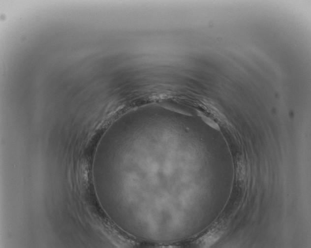 X0000073720363200608101910