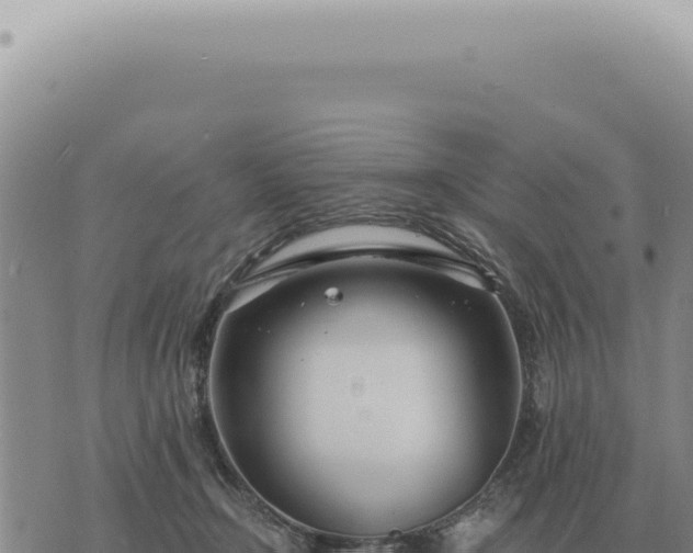 X0000073720366200608101910