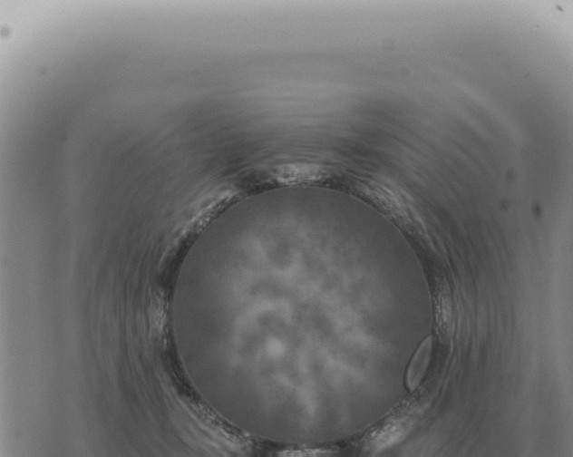 X0000073720367200608101910