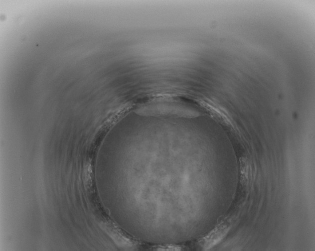 X0000073720369200608101910