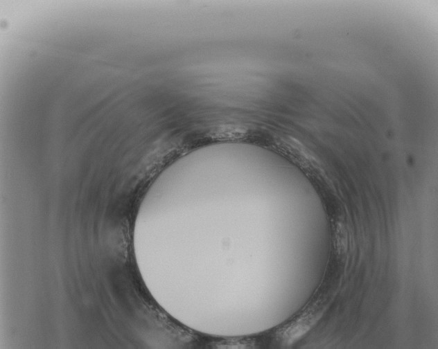 X0000073720370200608101910