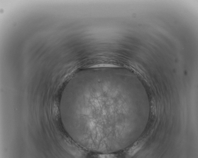 X0000073720371200608101910