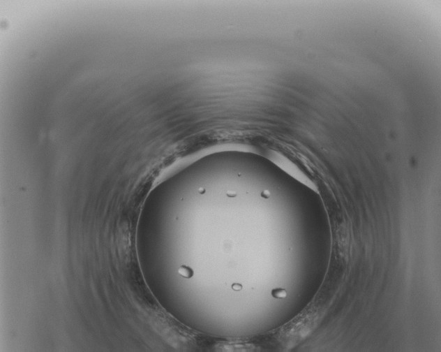 X0000073720372200608101910