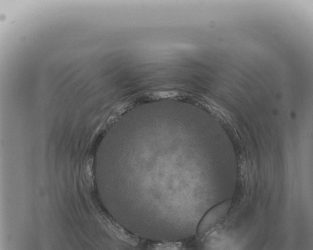 X0000073720373200608101910