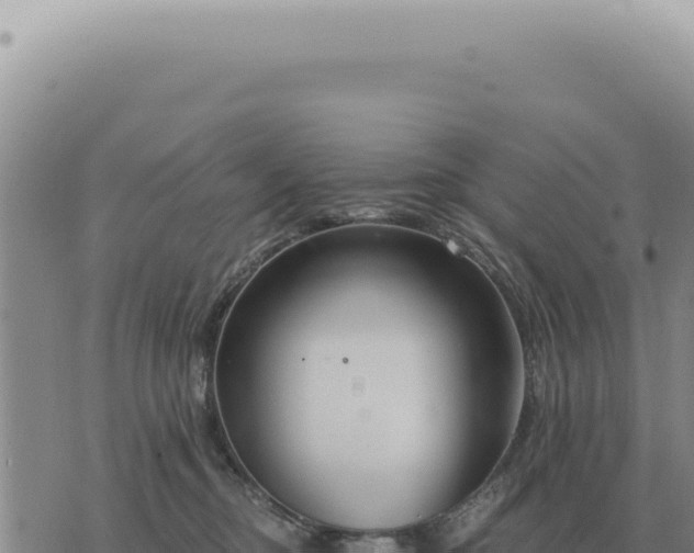 X0000073720374200608101910