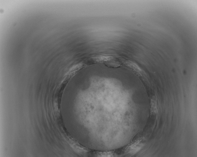 X0000073720377200608101910