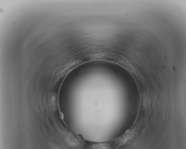 X0000073720378200608101910