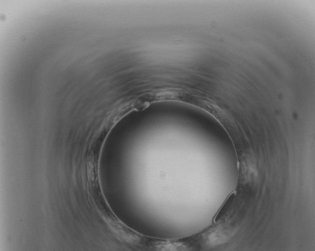 X0000073720379200608101910