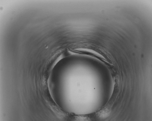 X0000073720380200608101910