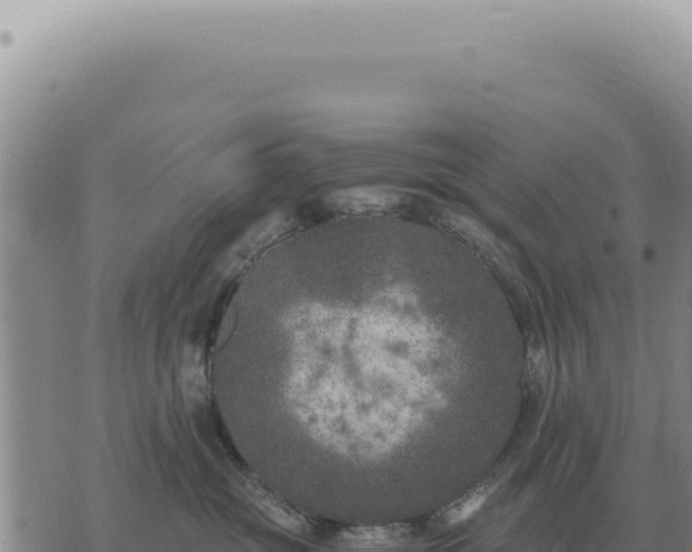 X0000073720381200608101910