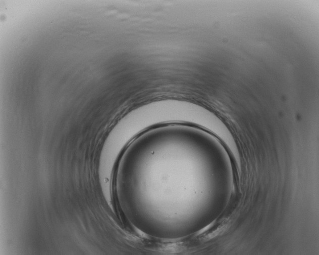 X0000073720382200608101910