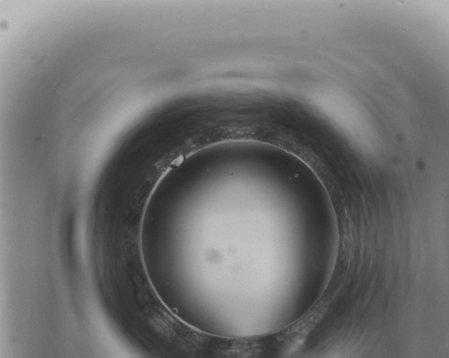 X0000073720383200608101910