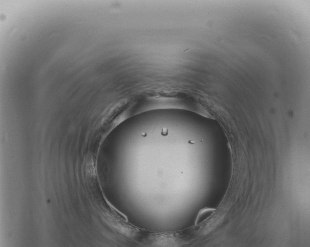 X0000073720384200608101910