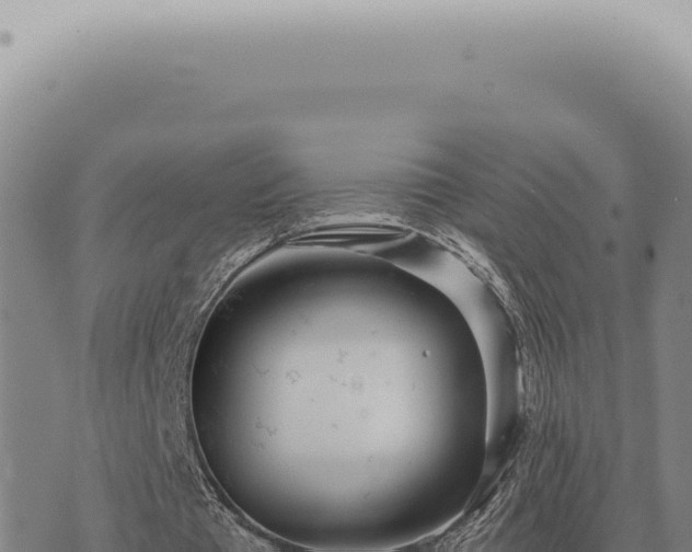 X0000073720385200608101909