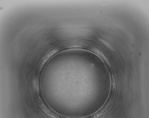 X0000073720386200608101909