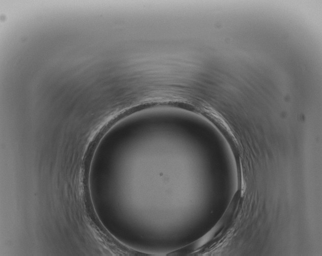 X0000073720387200608101909